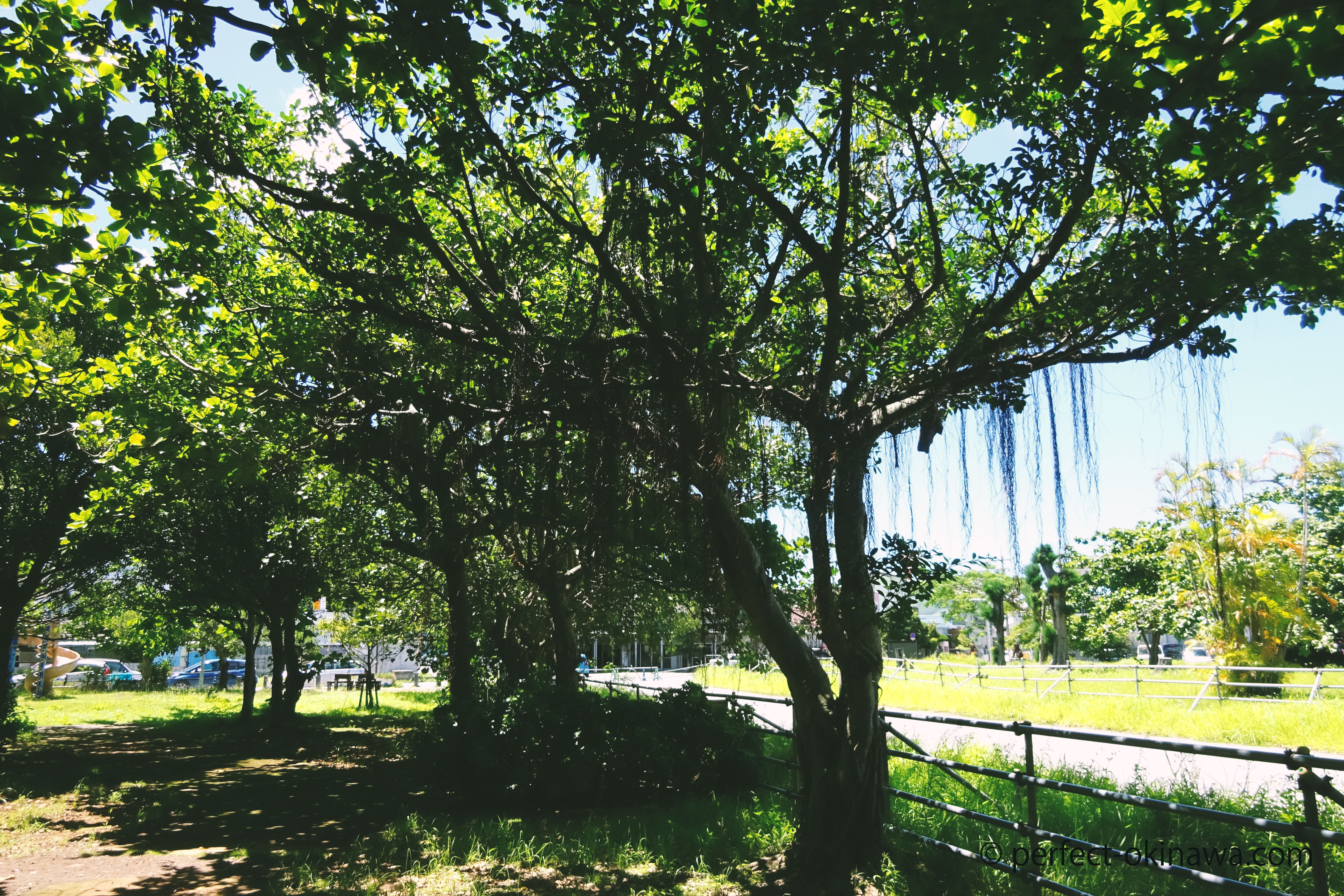 谷茶公園 本部町の公園 駐車場 バスケットコートあり Perfect Okinawa