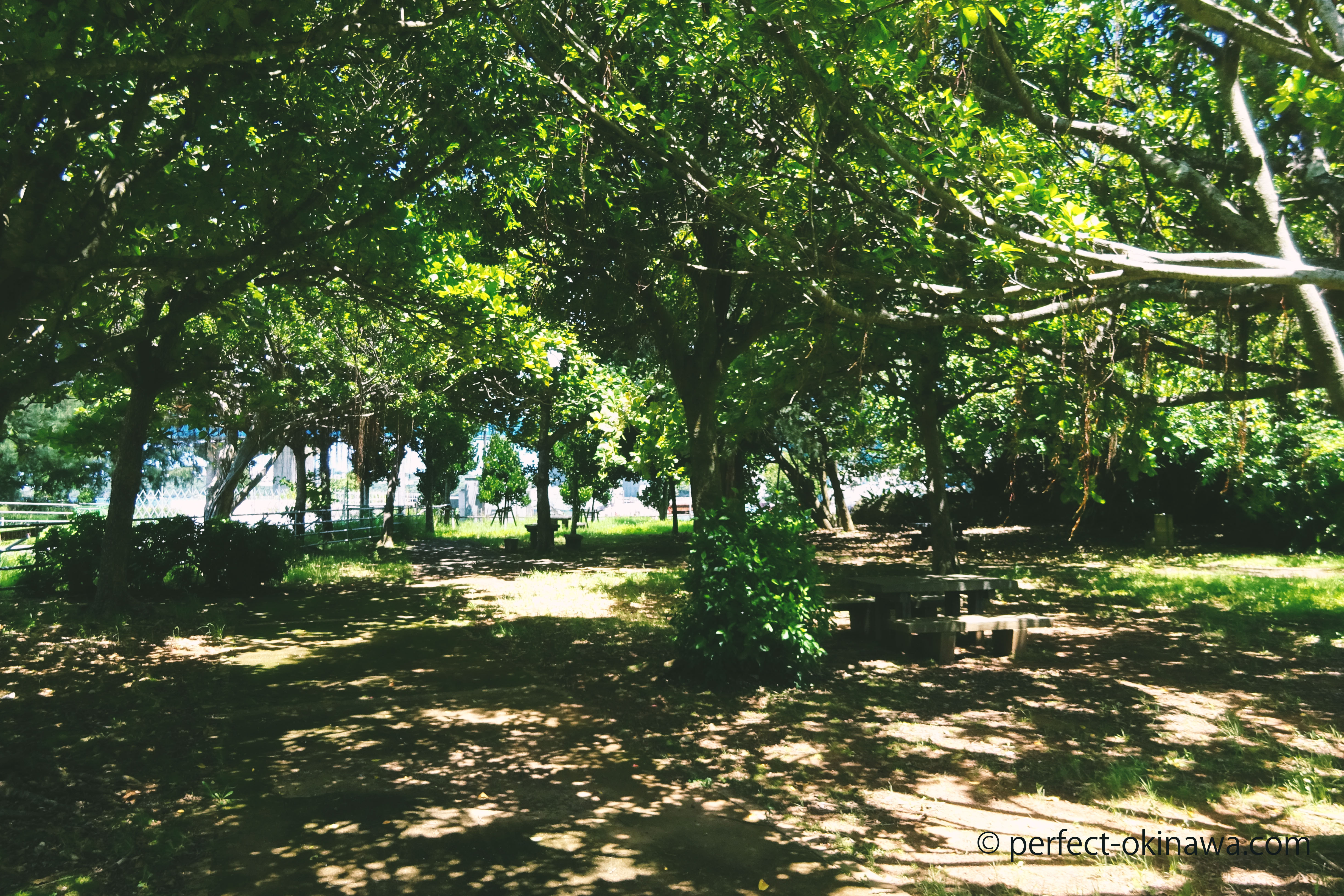 谷茶公園 本部町の公園 駐車場 バスケットコートあり Perfect Okinawa