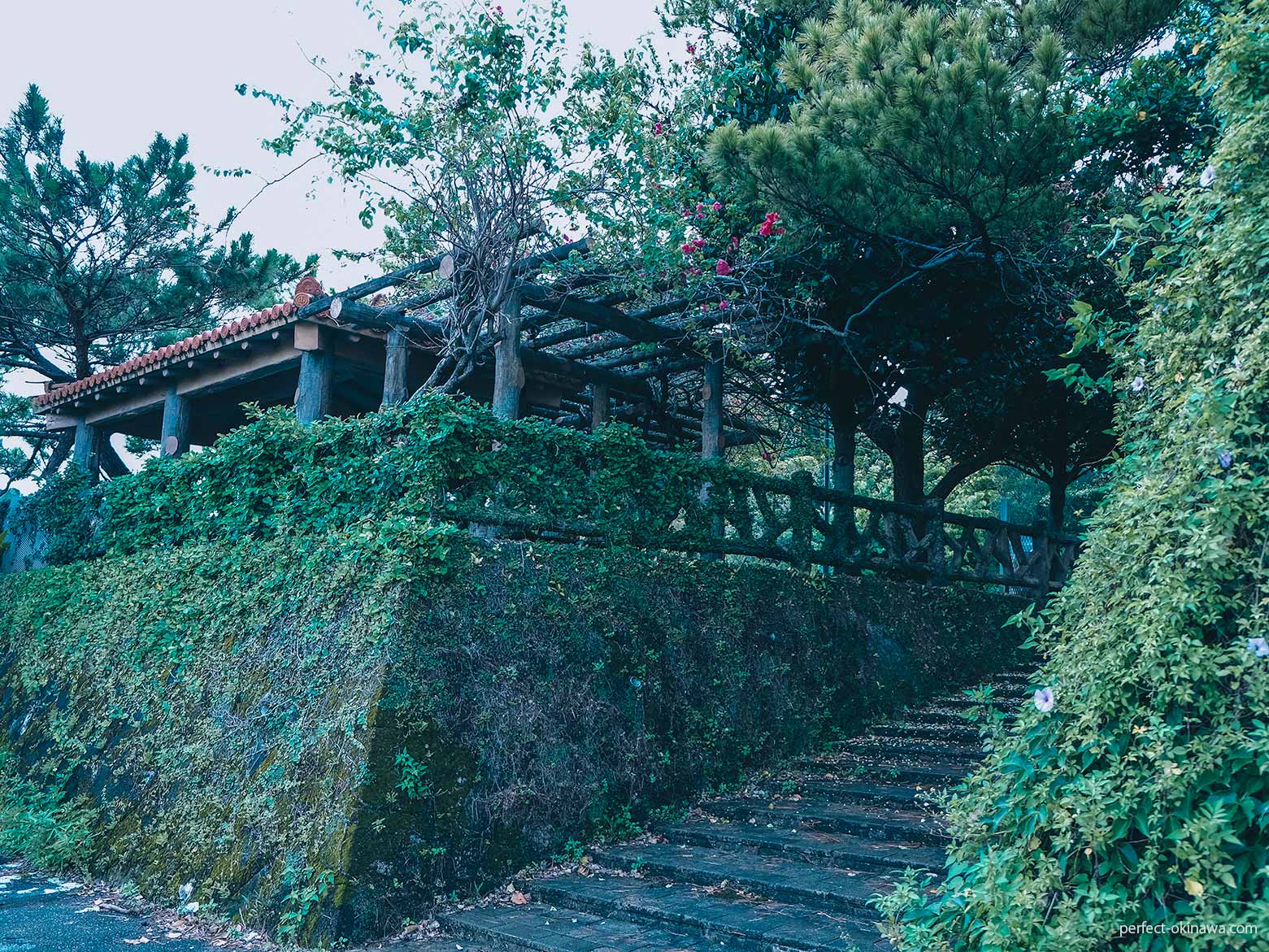 末吉公園は都会のオアシスかジャングルか perfect okinawa