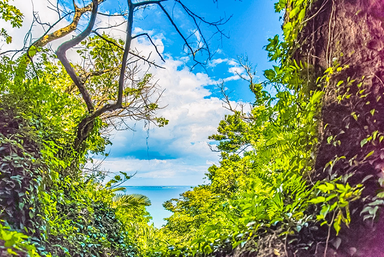 斎場御嶽６つの見所 沖縄最高峰のパワースポット 世界遺産 Perfect Okinawa